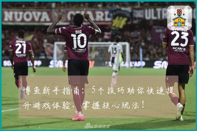 博鱼新手指南：5个技巧助你快速提升游戏体验，掌握核心玩法！